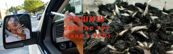 ГАЛЛЮЦИНОГЕННЫЕ ГРИБЫ Покровск