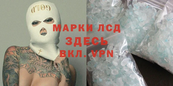стаф Грязовец